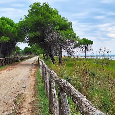 Lovely Beachfront 1 Bedroom - Beahost *